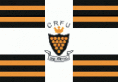 tigertonkin